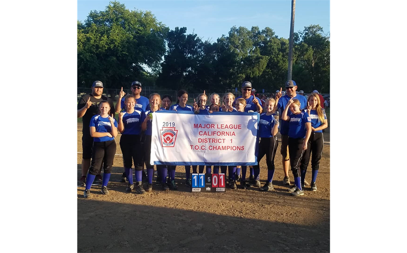 2019 Major Softball TOC Champions